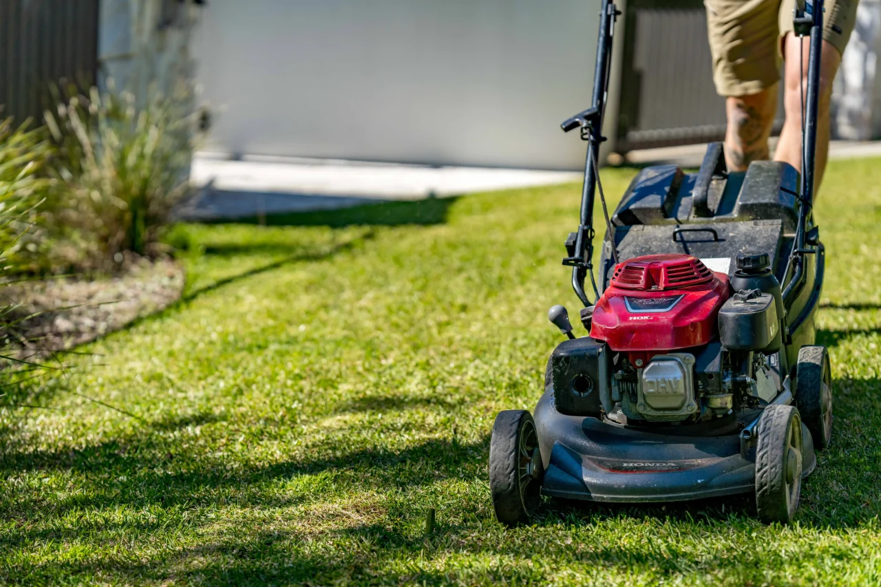 School Grounds Presentation: How to Keep Lawns Safe, Tidy and Low-Complaint