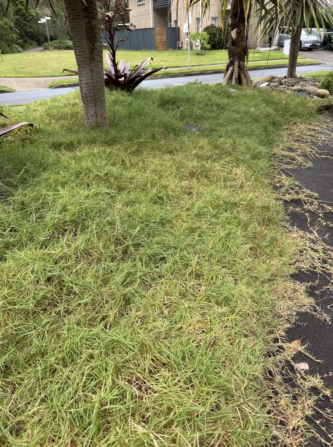 https://www.mymowing.com.au/wp-content/uploads/2026/05/Screenshot-2026-05-25-at-12.36.36-pm.webp