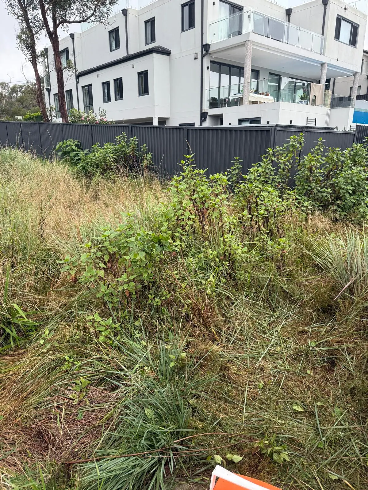 https://www.mymowing.com.au/wp-content/uploads/2026/05/WhatsApp-Image-2026-05-20-at-12.57.42-13-1.webp