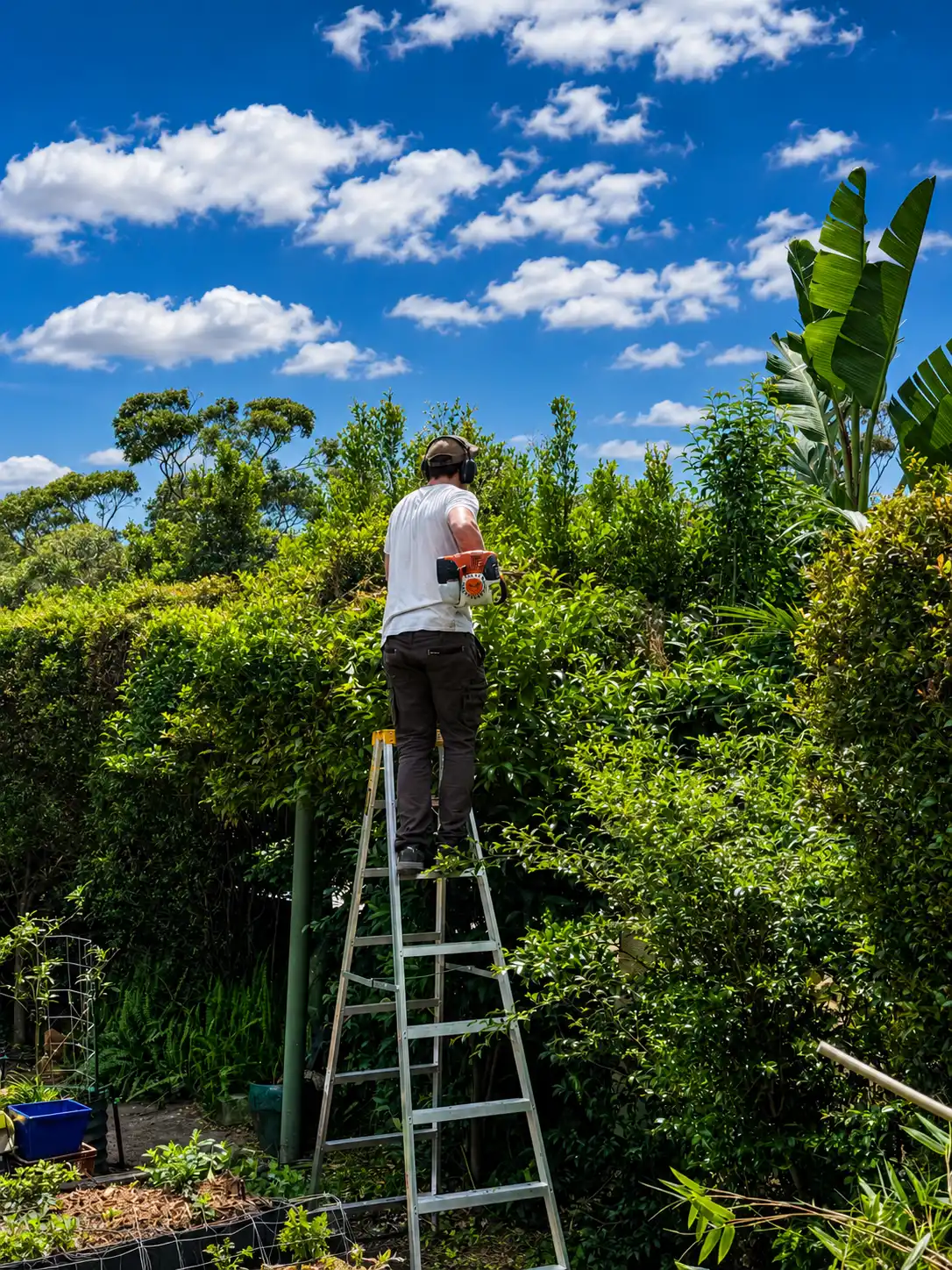 myMowing About Cascade 3 https://www.mymowing.com.au/wp-content/uploads/2026/05/myMowing-About-Cascade-3-.webp