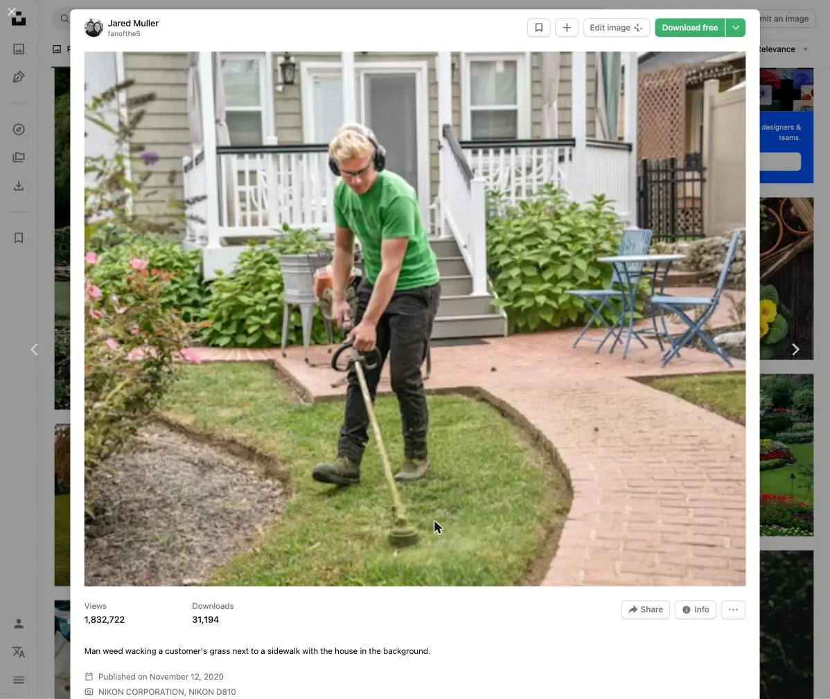 Weeds in Pavers and Paths: How to Stop Them Coming Back (Without Constant Pulling)