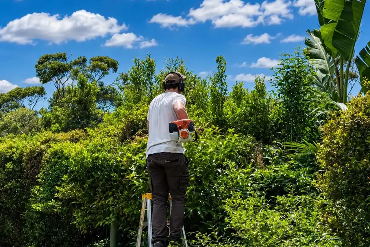 https://www.mymowing.com.au/wp-content/uploads/2026/06/myMowing-Lawn-Mowing-Header-1280x853_0001_Layer-1.webp